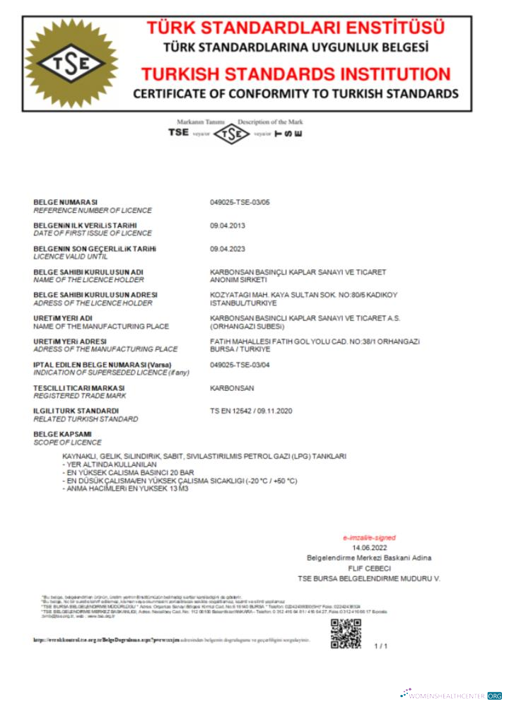 Turkey Turkish Standard Institution certificate of comformity to turkish standards Word and PDF template scr